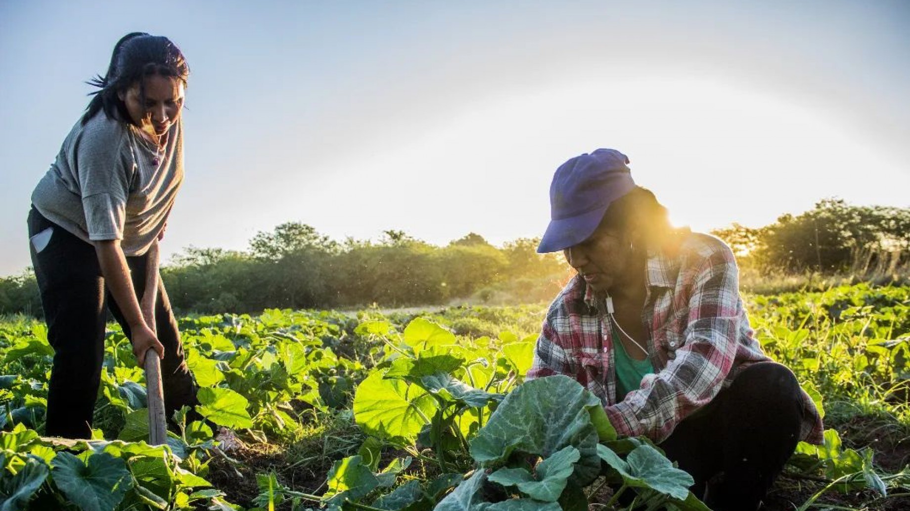 Inauguraron la primera nave de pequeños productores en el Mercado Central gracias a la UTT
