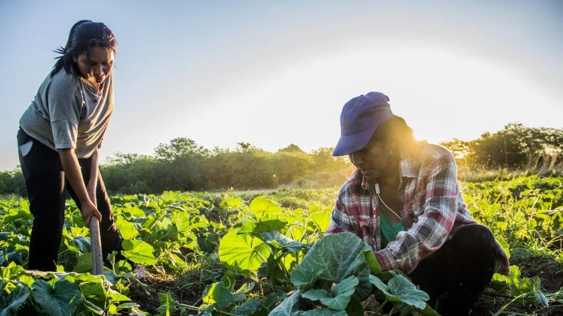 Inauguraron la primera nave de pequeños productores en el Mercado Central gracias a la UTT