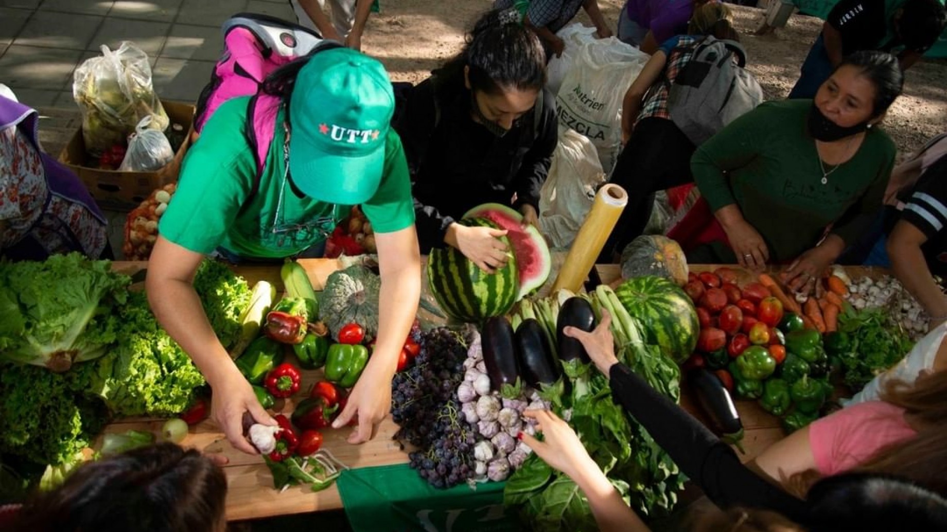 Regenerar la producción de alimentos: además de saludable, por qué la agroecología es más rentable que el modelo dependiente de químicos
