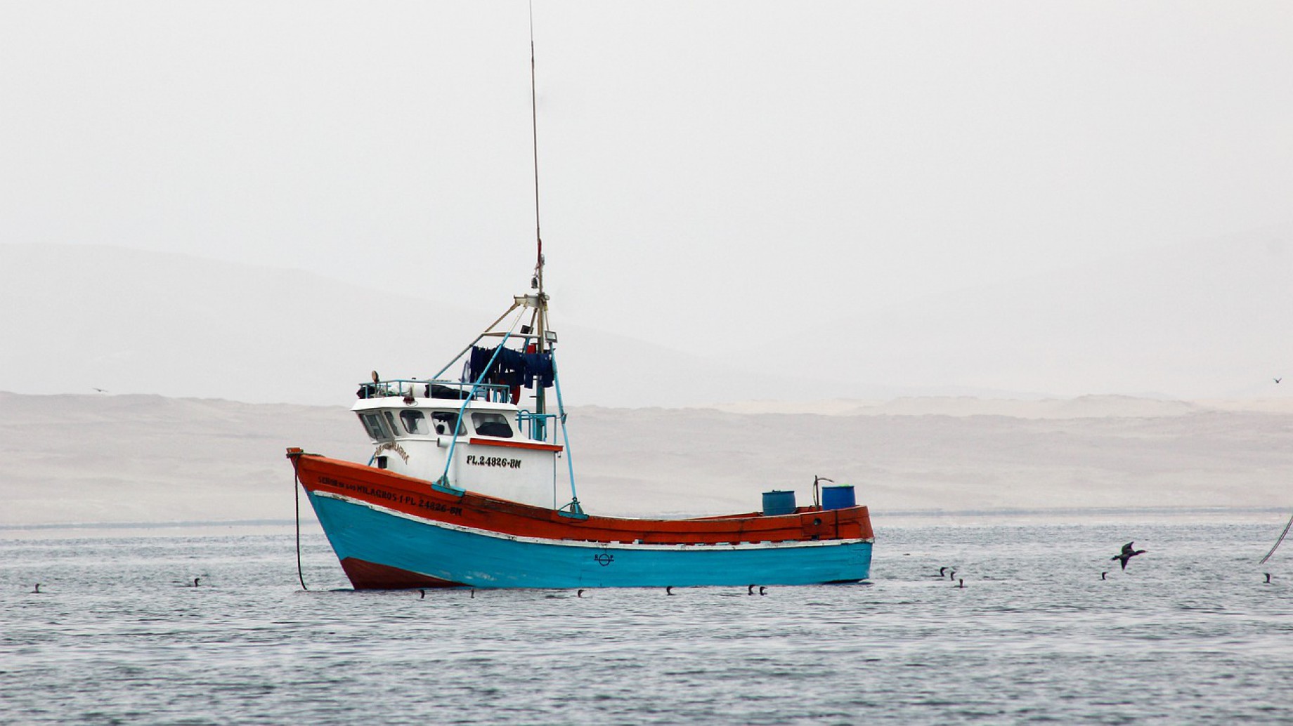 ¿Solo un montaje?: las cámaras de los barcos pesqueros no están online, graban imágenes que podrían ser editadas