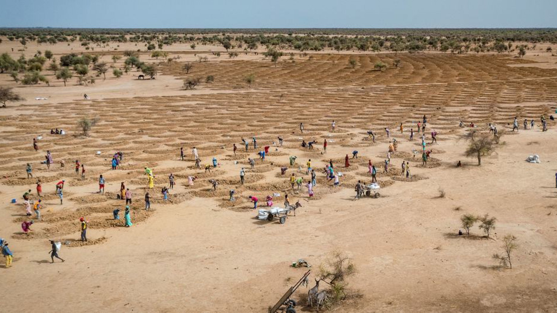 Otra vez, el cambio climático volvió a batir récords por tierra, mar y aire en 2021