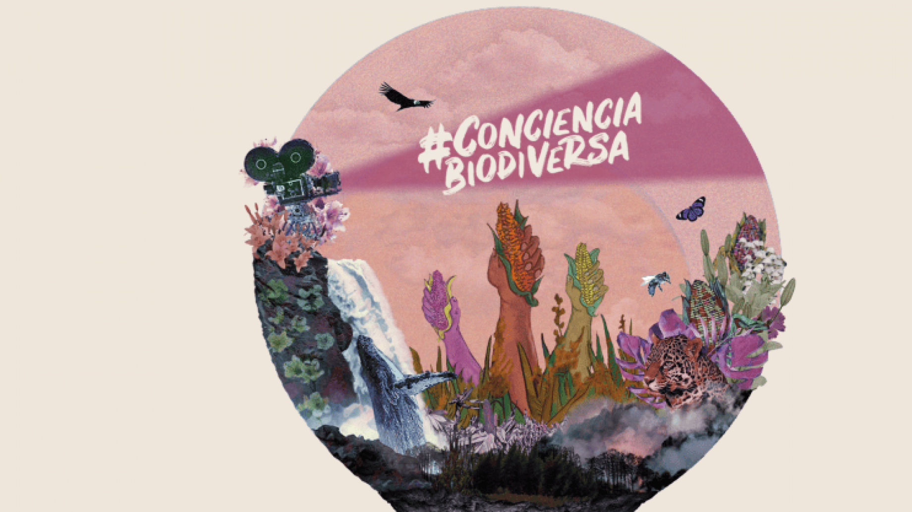 Arrancó la 6° edición del Festival Internacional de Cine Ambiental