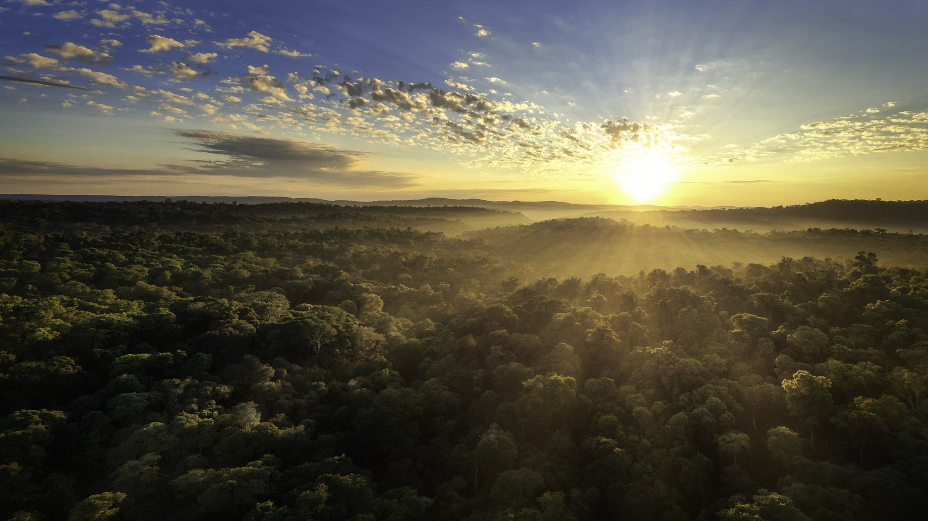ConservAR 30x30: ONG ambientales reúnen esfuerzos para que Argentina sea parte del compromiso 30x30