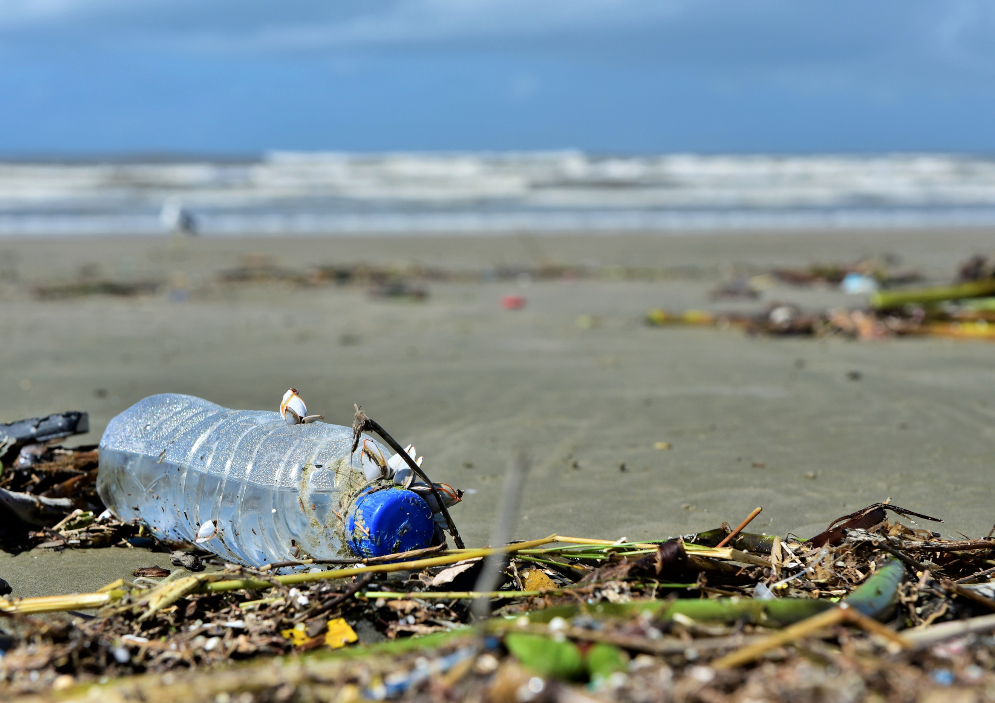 Mar del Plata: la contaminación de las costas y la era de generación de  residuos - Carbono News