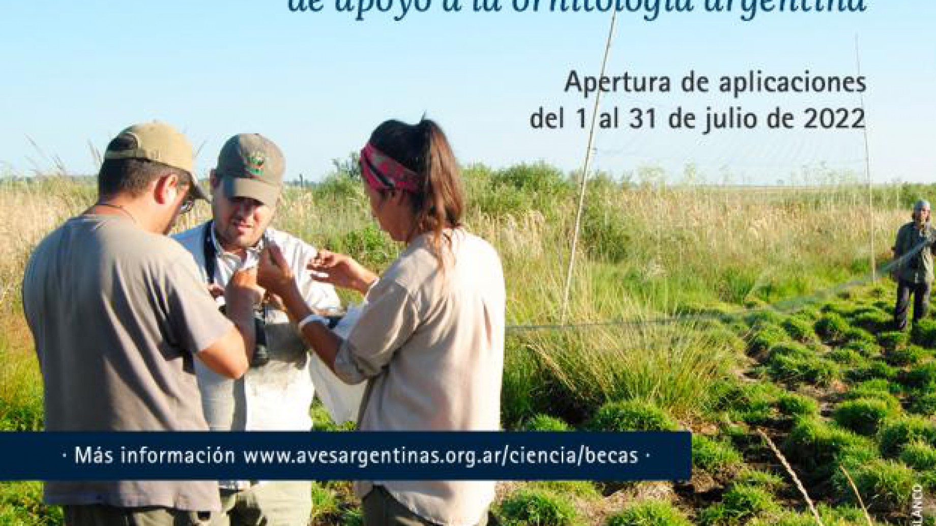 Nueva edición de las Becas Aves Argentinas