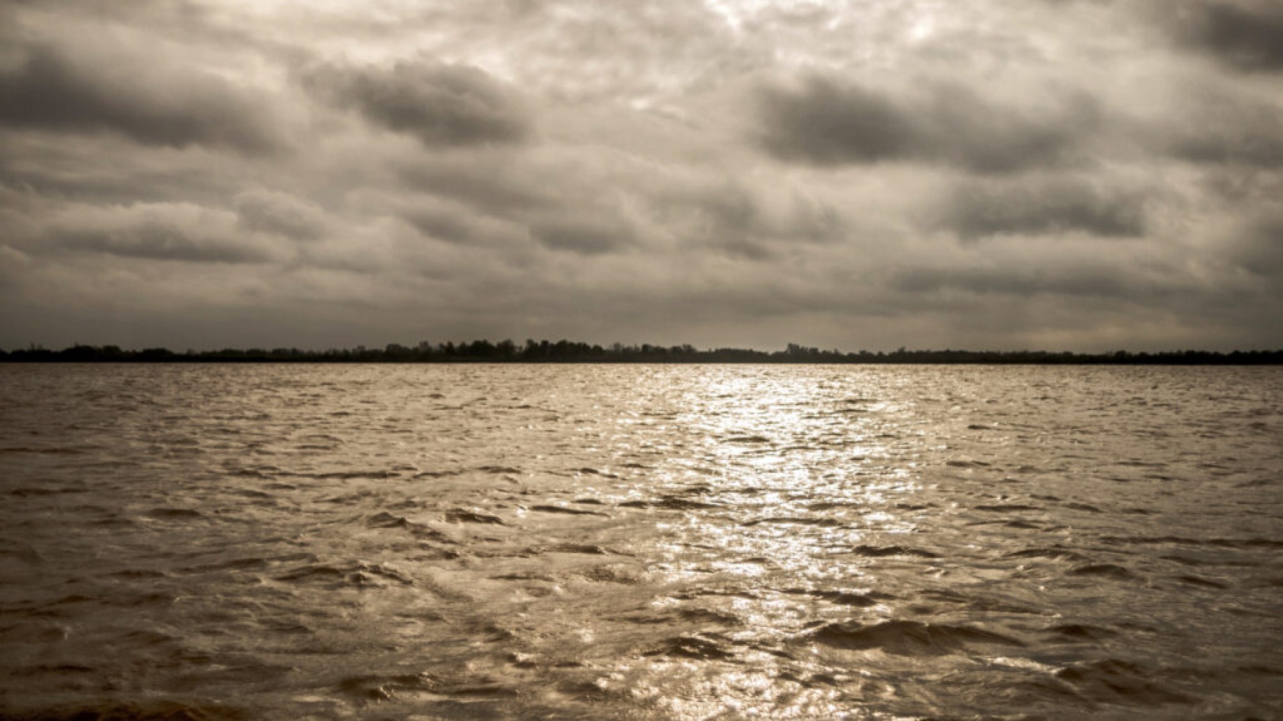 Hidrovía: presentaron una acción de amparo para frenar la destrucción del Paraná