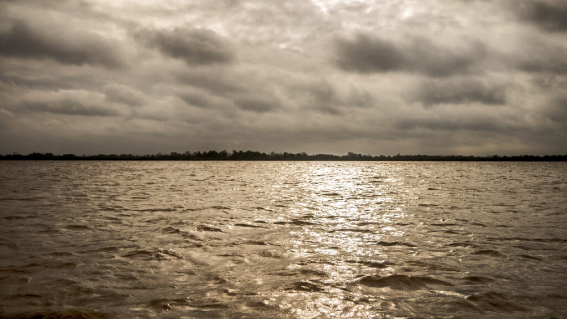 Hidrovía: presentaron una acción de amparo para frenar la destrucción del Paraná