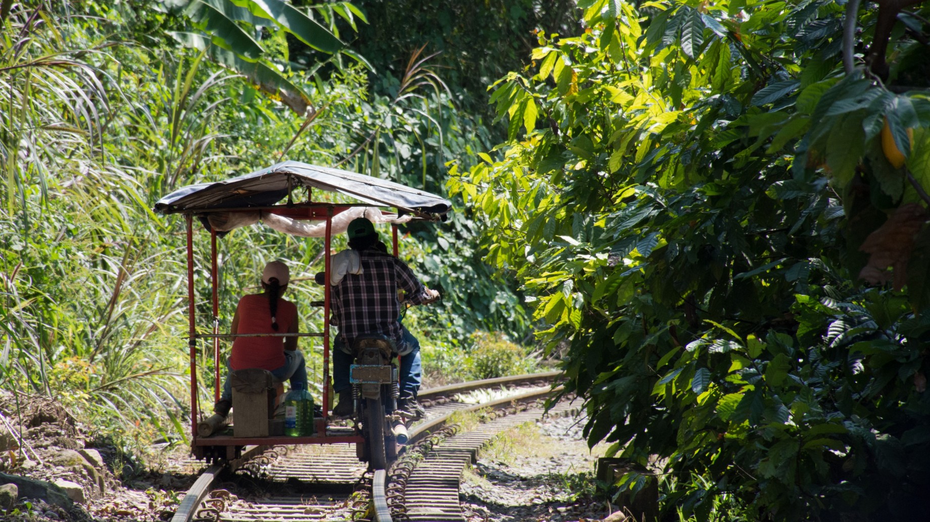Los campesinos que impulsan el cambio energético en Colombia