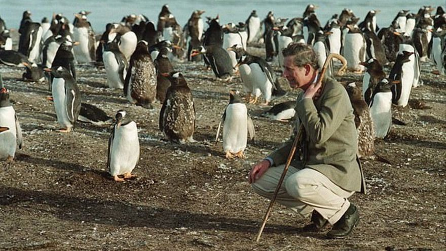Charles III: Un rey educado para practicar la cruel caza del zorro podría dar lugar a la primera monarquía ecológica
