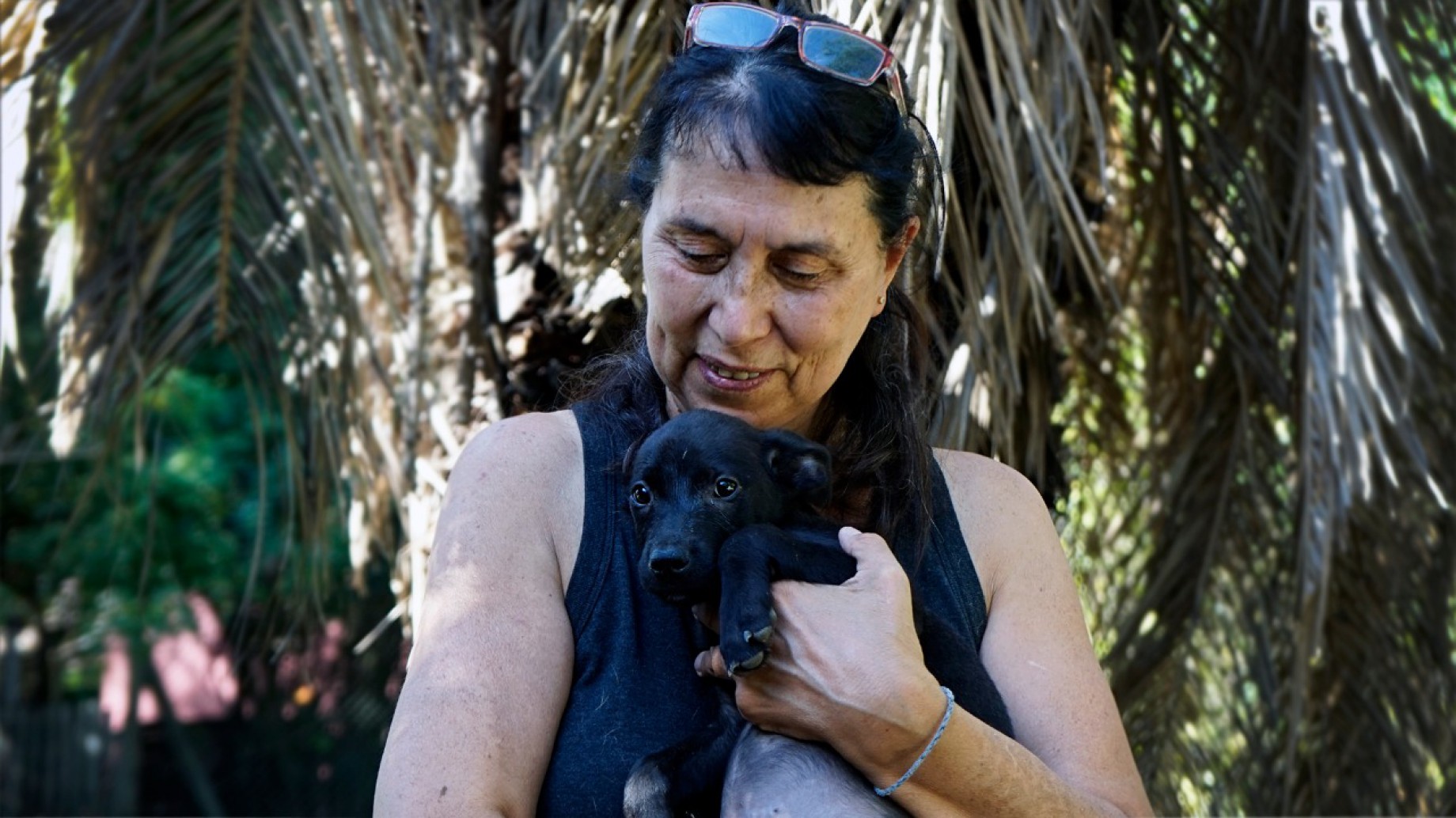 Día mundial de los animales: su cuidado es responsabilidad de todos