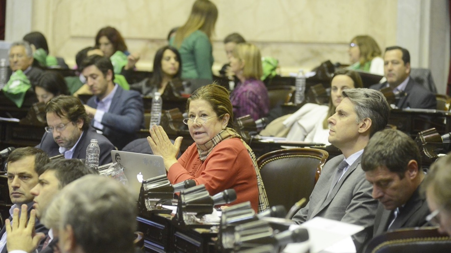 Graciela Camaño sobre la ley de humedales: "¿Somos tan susceptibles a los lobbies empresariales? ¿Tenemos que recibir órdenes desde Washington?"