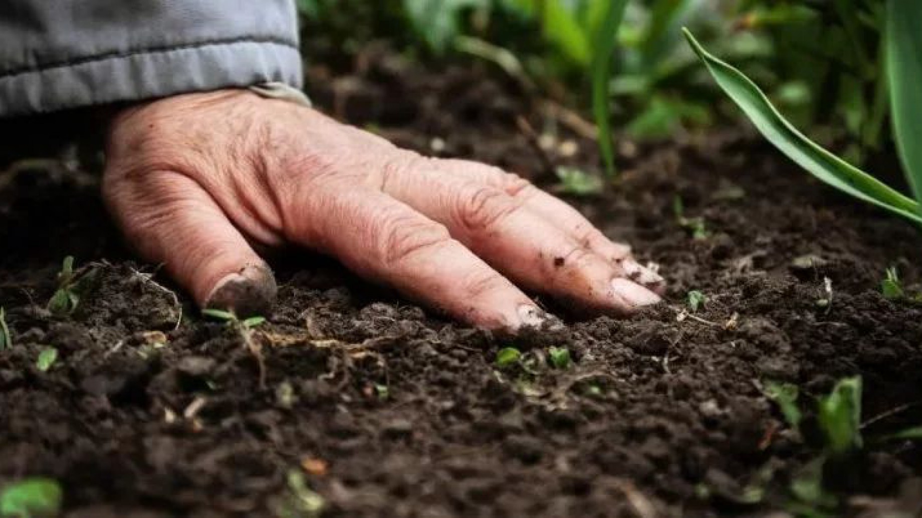 Mes de la agroecología: "Es el camino que necesitamos para salir de esta crisis civilizatoria"