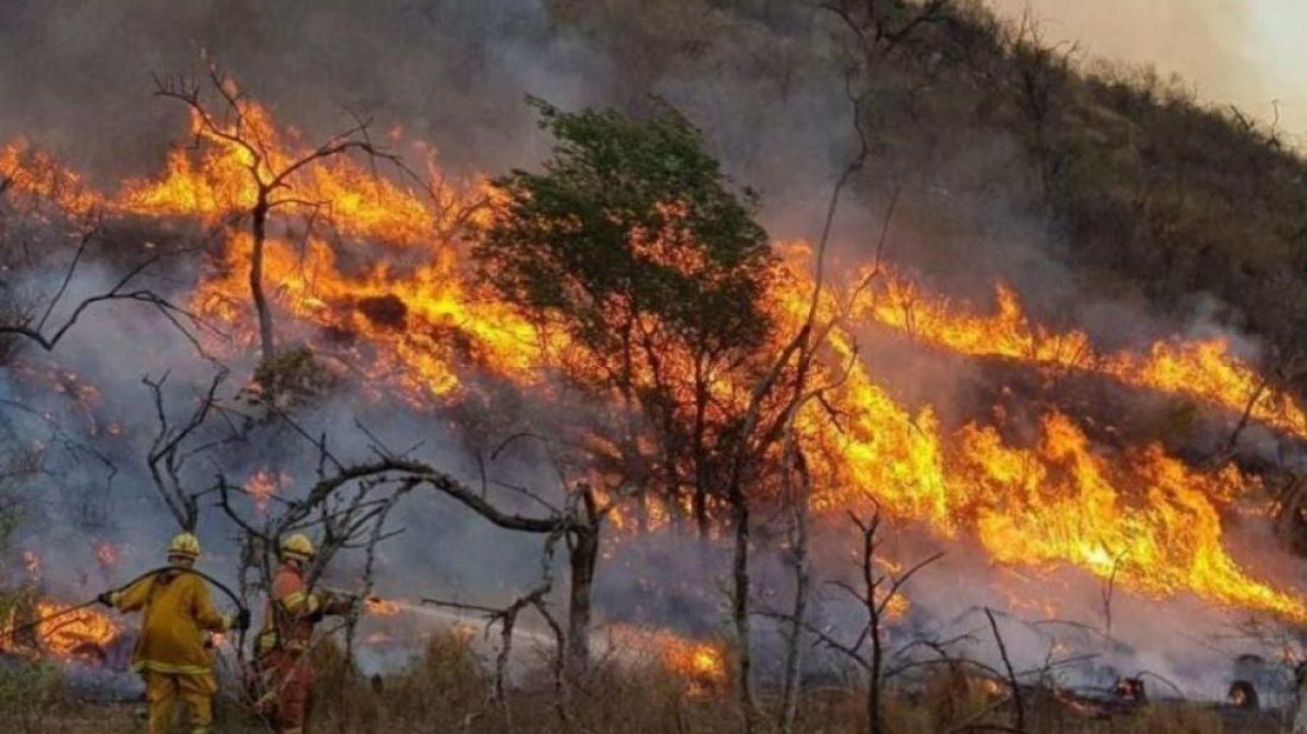 Incendios en Salta: estiman que van más de 177.000 hectáreas arrasadas en 2022 y los vecinos exigen que se declare la Emergencia Ambiental e Hídrica
