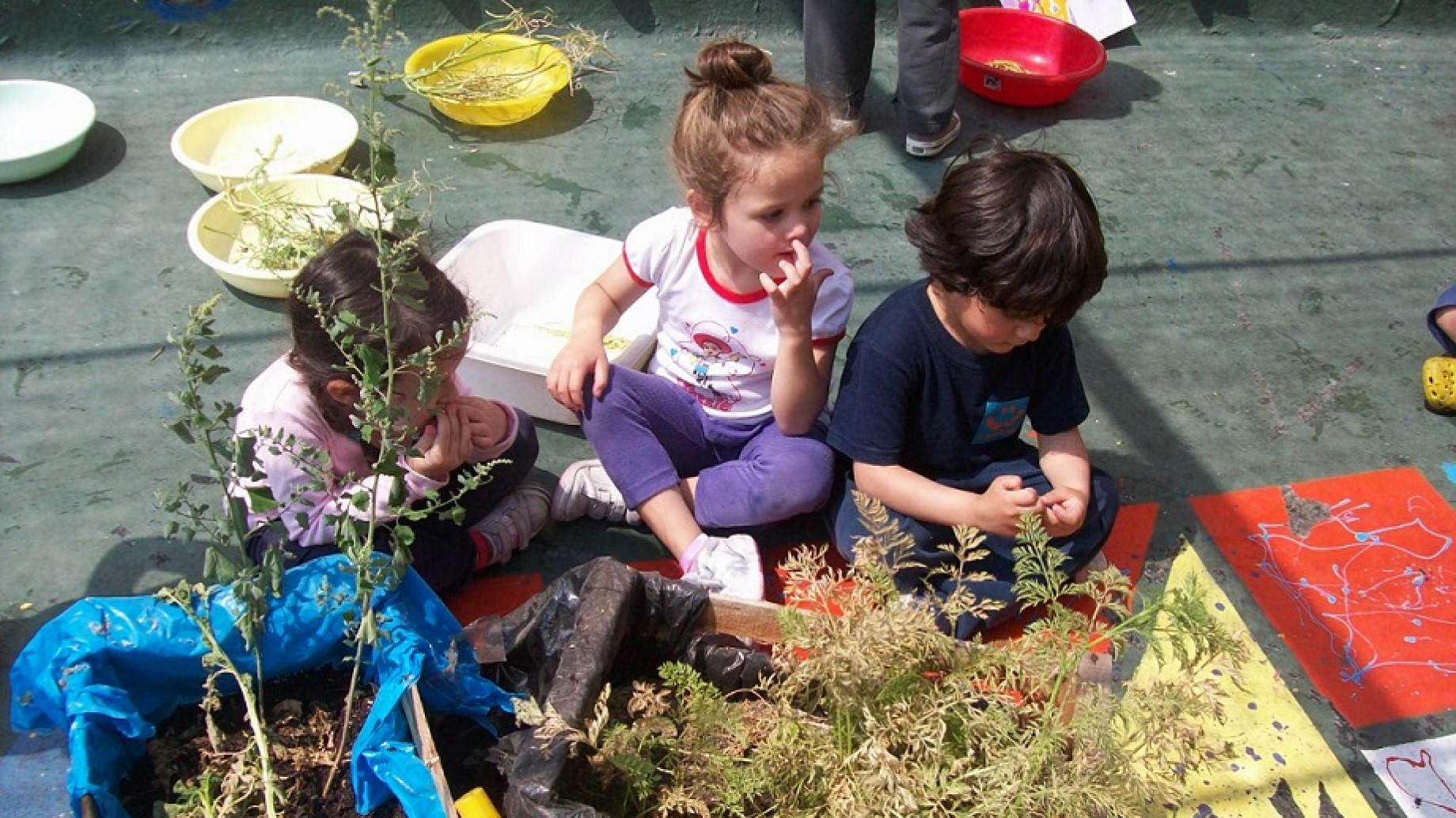 Huerta, compost y gestión de residuos: así trabaja la escuela cooperativa Mundo Nuevo por un ambiente sano