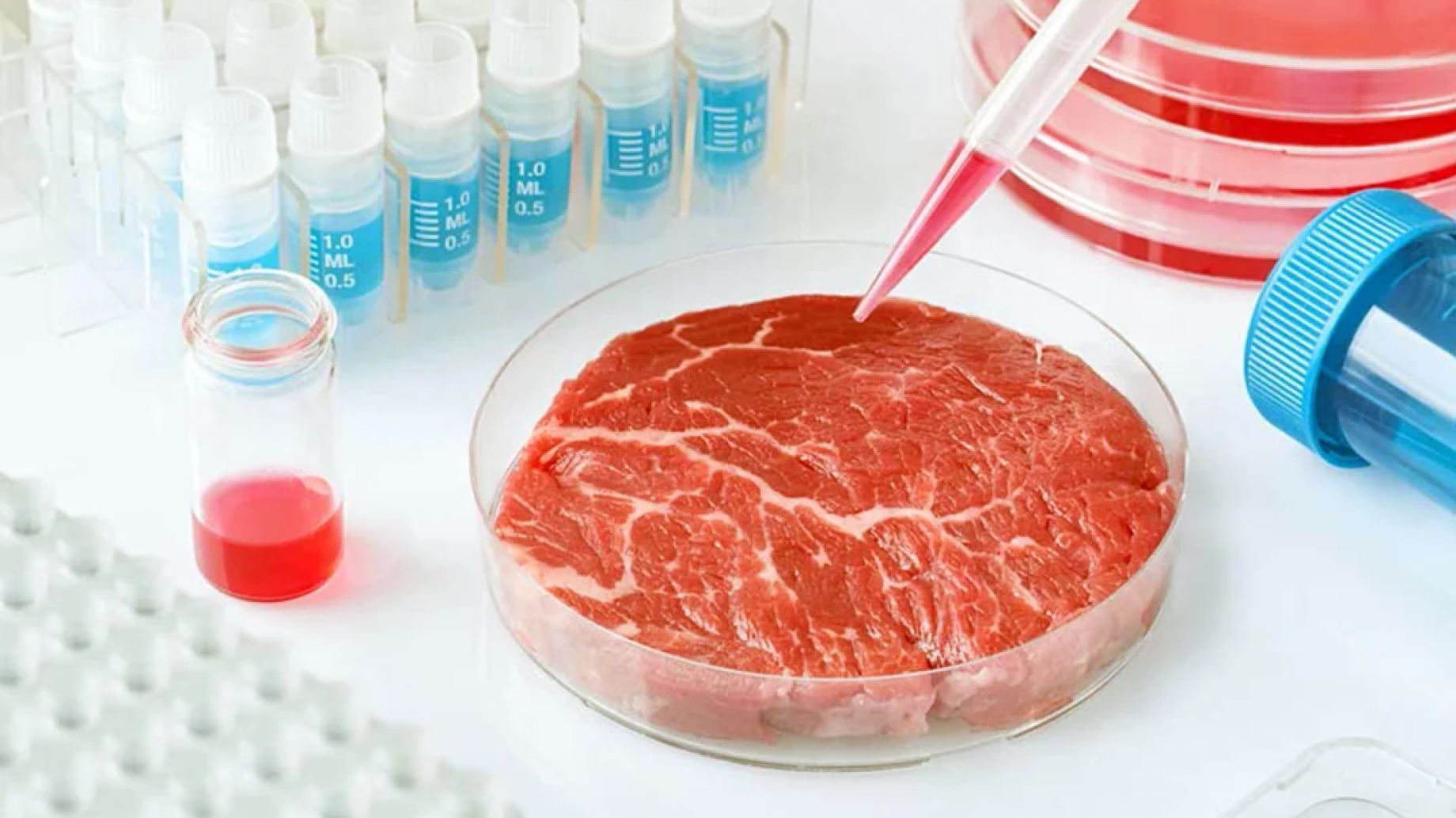 La Food and Drug Administration de EEUU aprobó la producción de carne animal cultivada en laboratorios