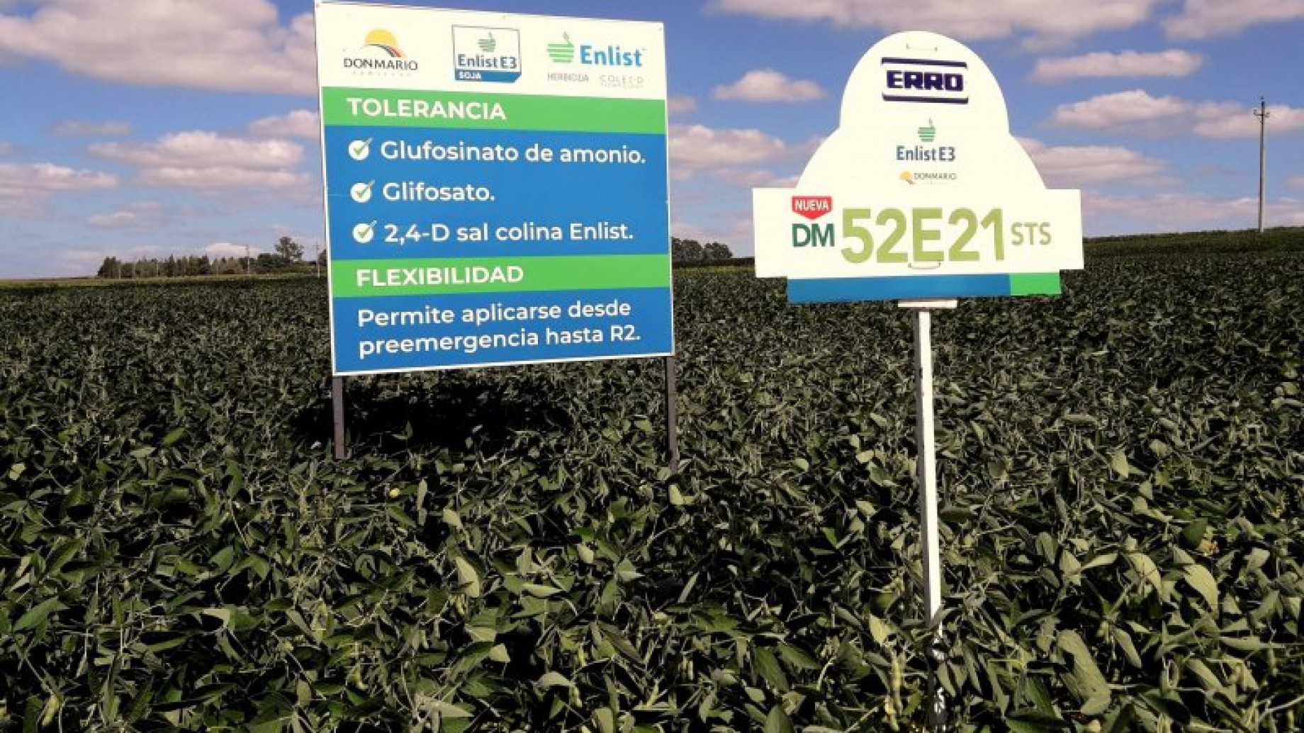 Glufosinato de amonio y glifosato, dos herbicidas tóxicos que cuando se juntan aumentan los riesgos para la salud