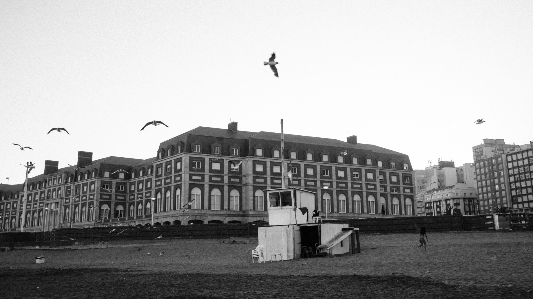Ballena Muerta: "El fallo que revocó la medida cautelar que protegía el Mar Argentino va a ser apelado ante la Corte Suprema, por lo tanto no está firme"