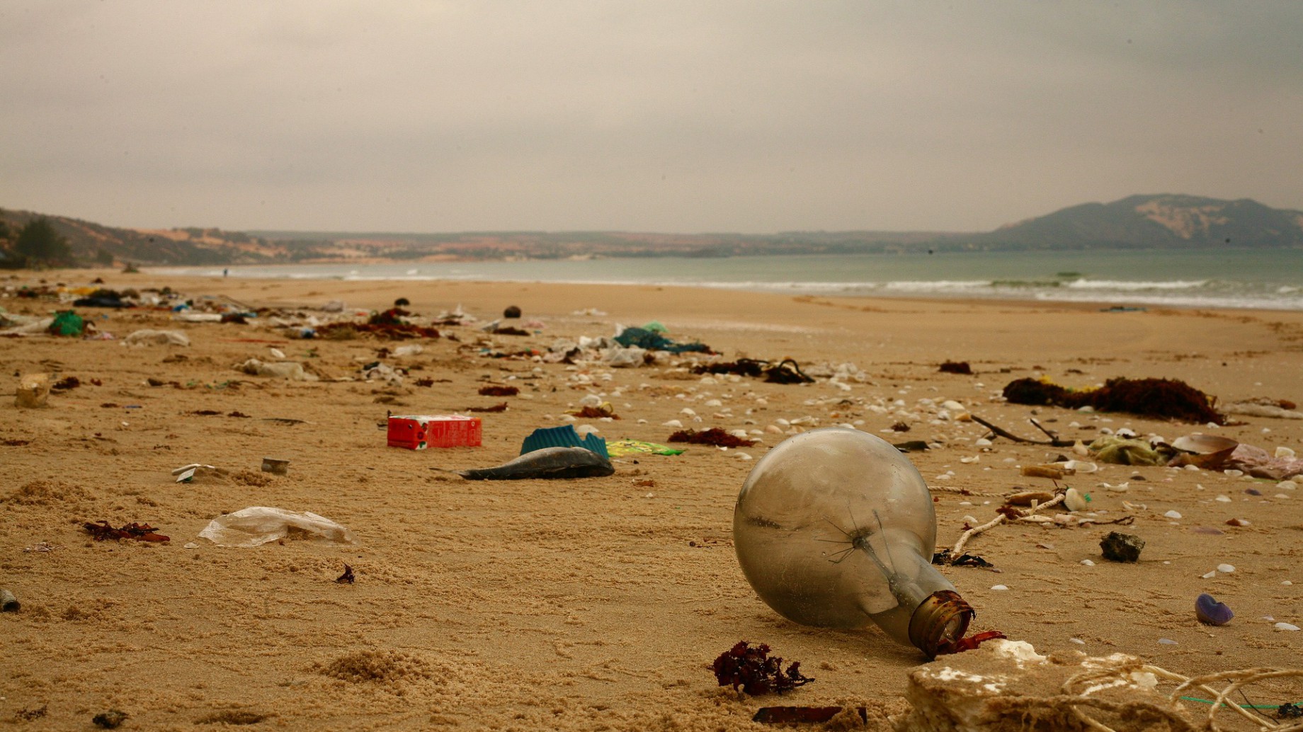 Latinoamérica genera todos los días 17.000 toneladas de residuos plásticos: ocho países de la región se unieron para combatir la "basura marina"