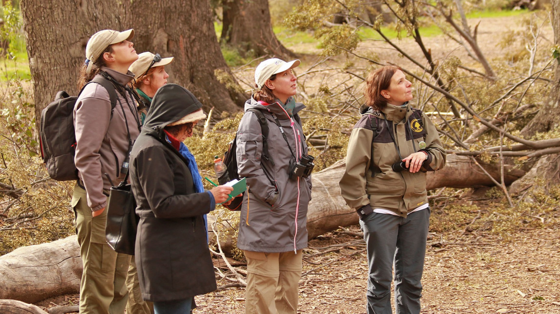 Regalá experiencias: ideas originales para disfrutar de la naturaleza en estas fiestas
