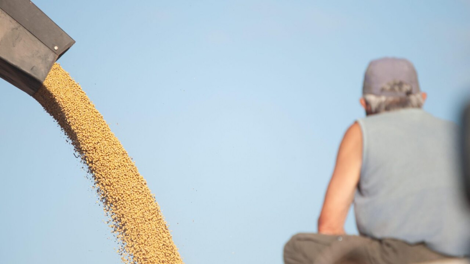 Argentina impulsa la trazabilidad de la soja para garantizar deforestación cero