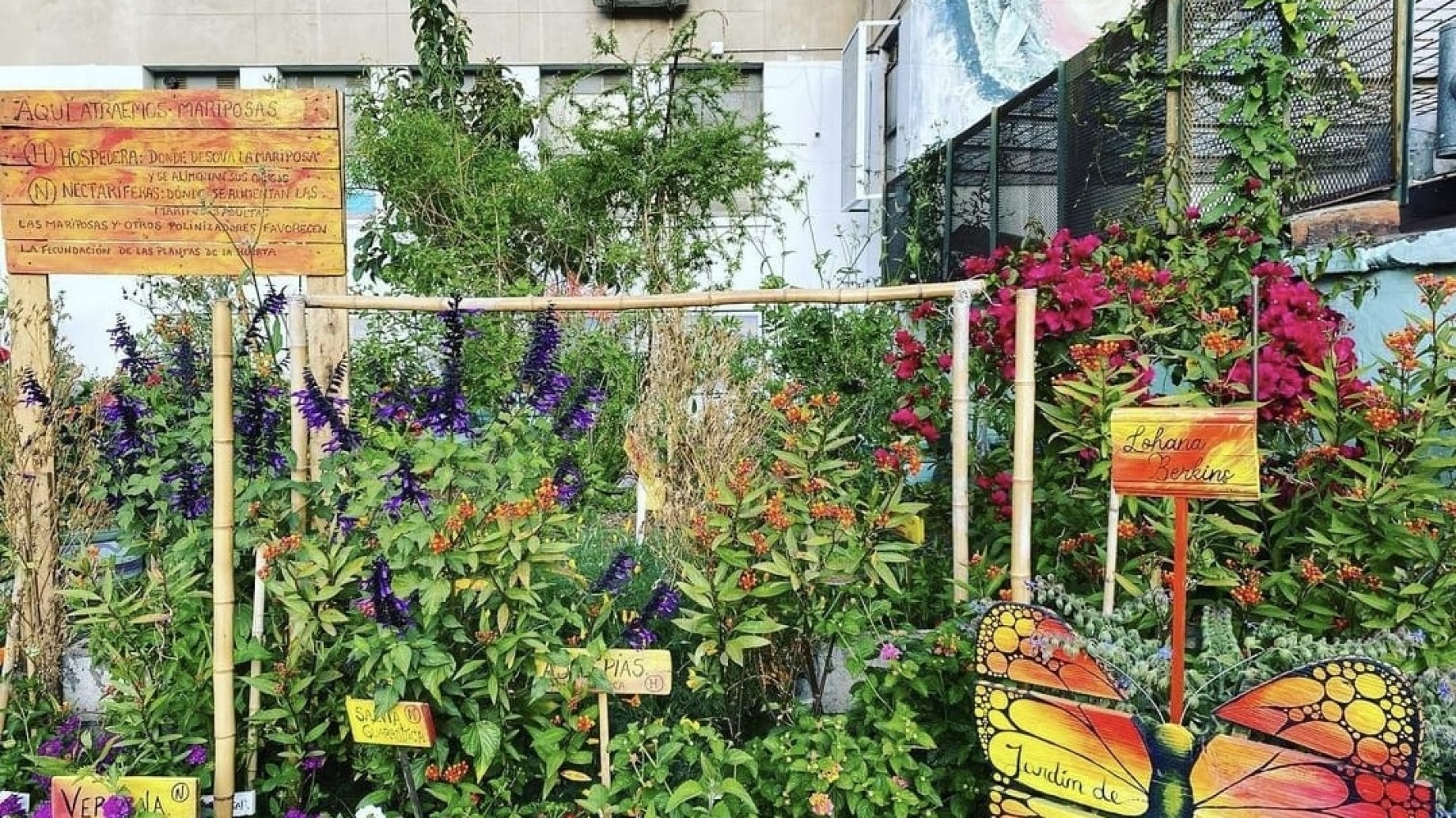 Cómo el patio de Nutrición de la UBA cumple con la ley de Educación Ambiental: escuela agroecológica, bar sin ultraprocesados, compostaje, talleres y visitas guiadas