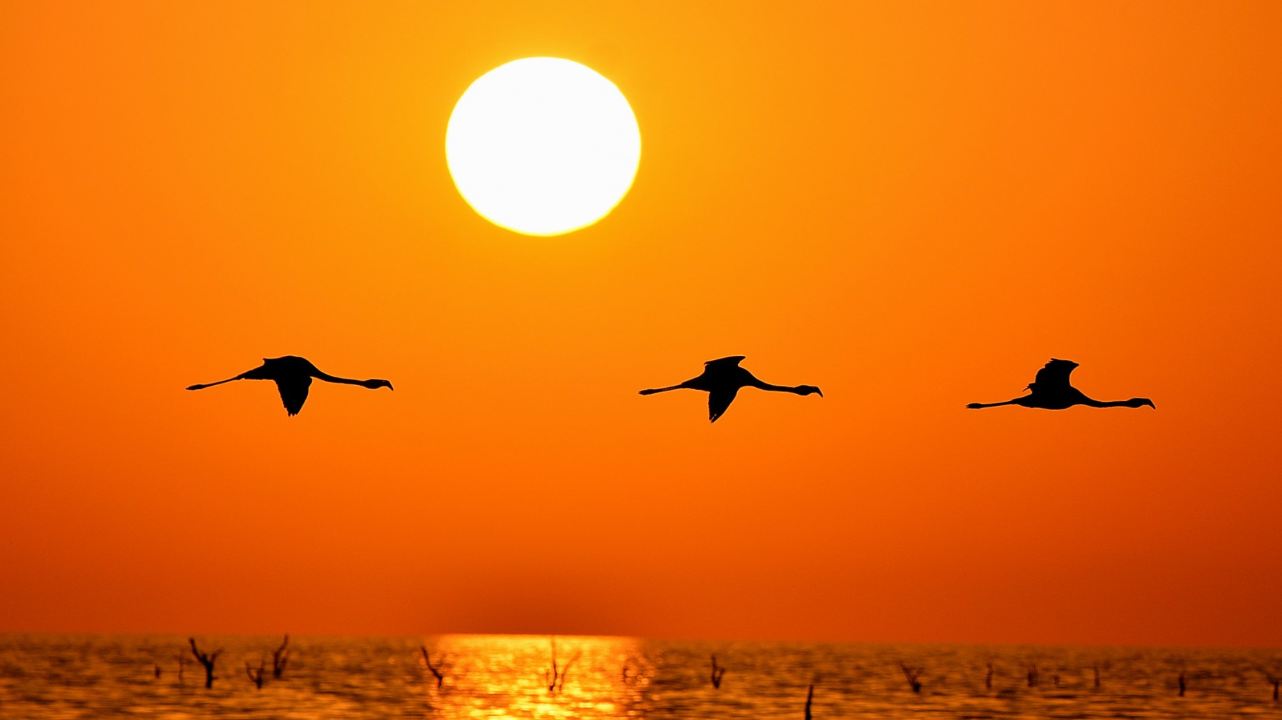 Turismo responsable en la naturaleza, un aliado de la conservación