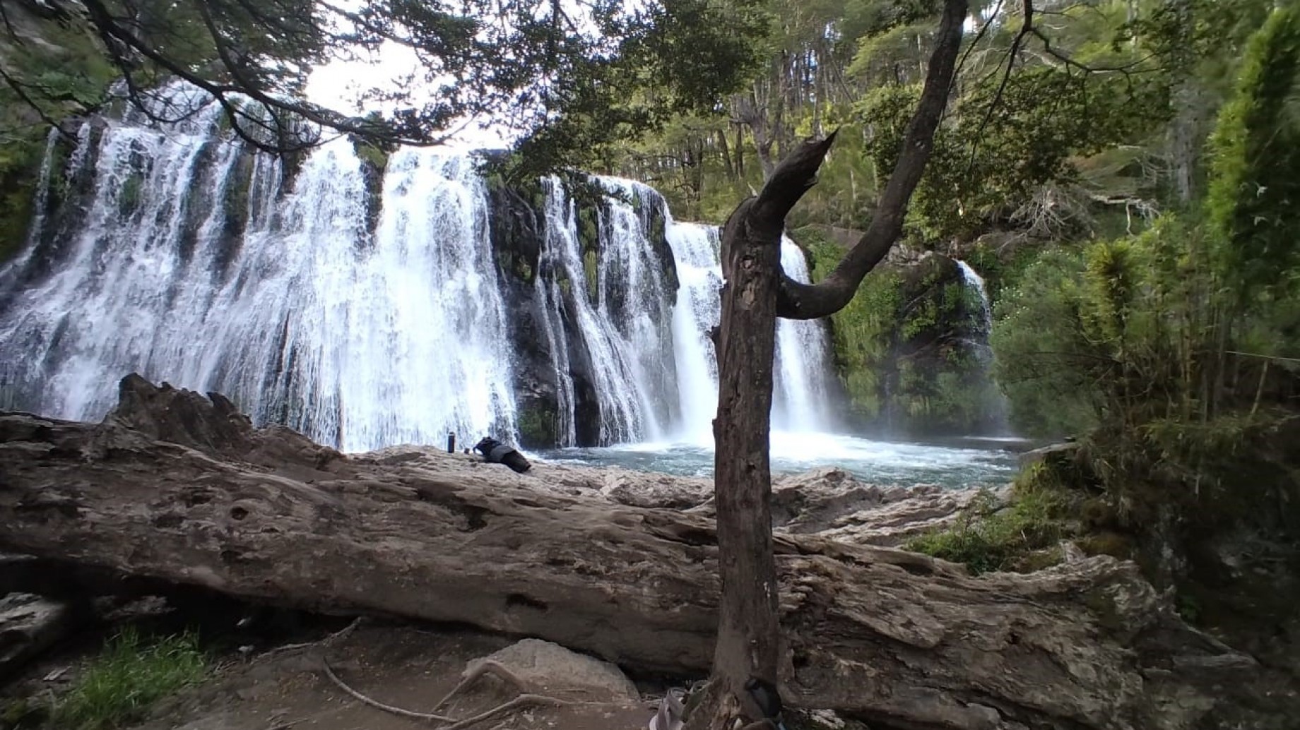 #SiNosOrganizamosCuidamosTodo, la campaña que incentiva a disfrutar y proteger la naturaleza