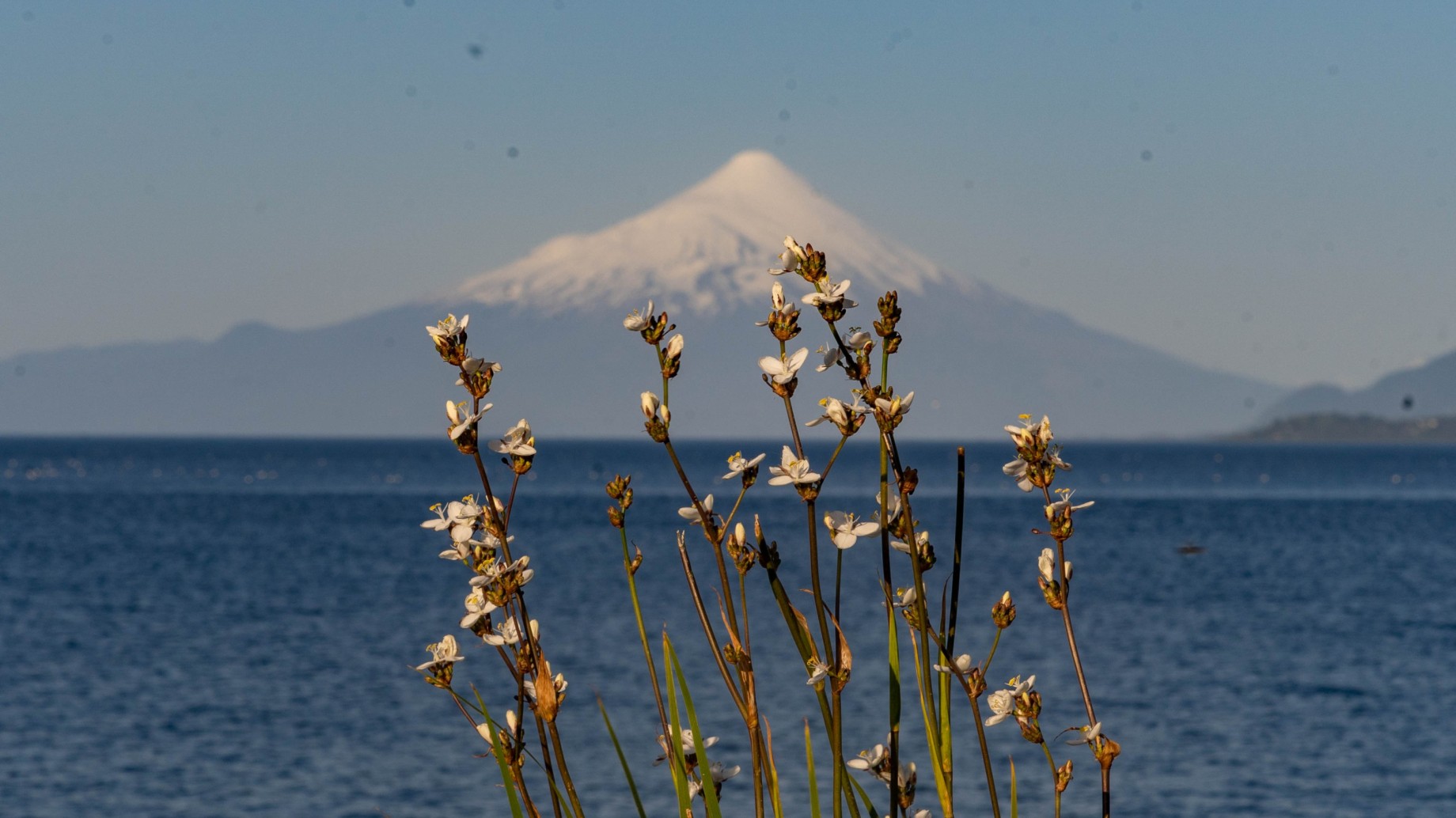 Alta tensión: el extractivismo energético en Chiloé
