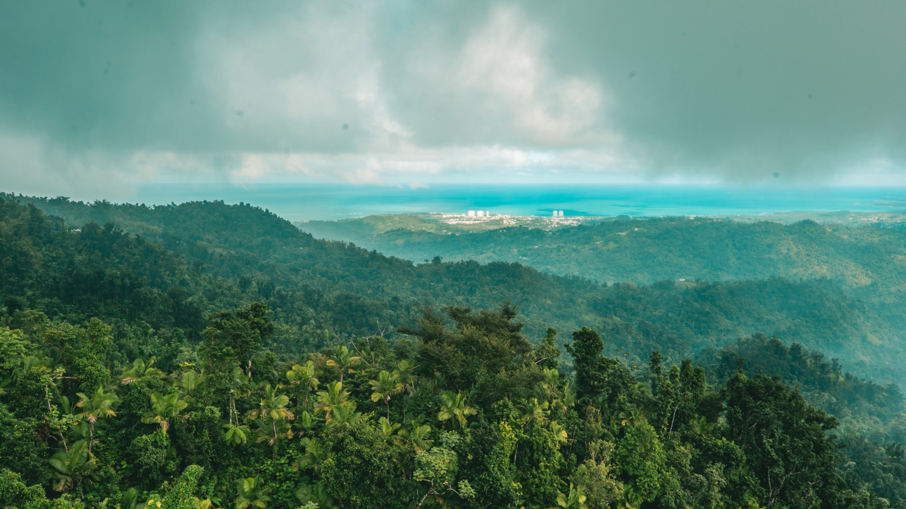 Un nuevo estudio de la Universidad de Oxford revela que la combinación de calor extremo y sequía afectan la capacidad de los sumideros de carbono para absorber emisiones