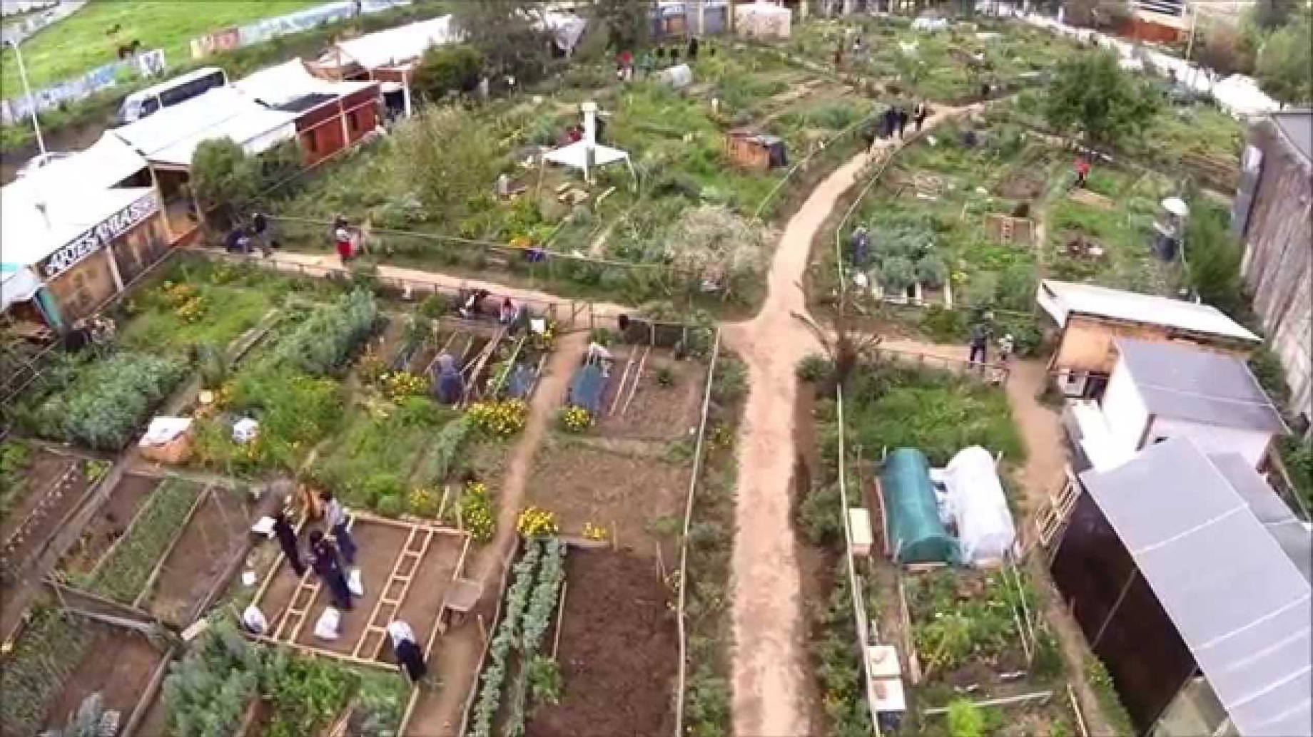 Huertos urbanos: aumentan un 15% por año en Chile tras la pandemia y el estallido social