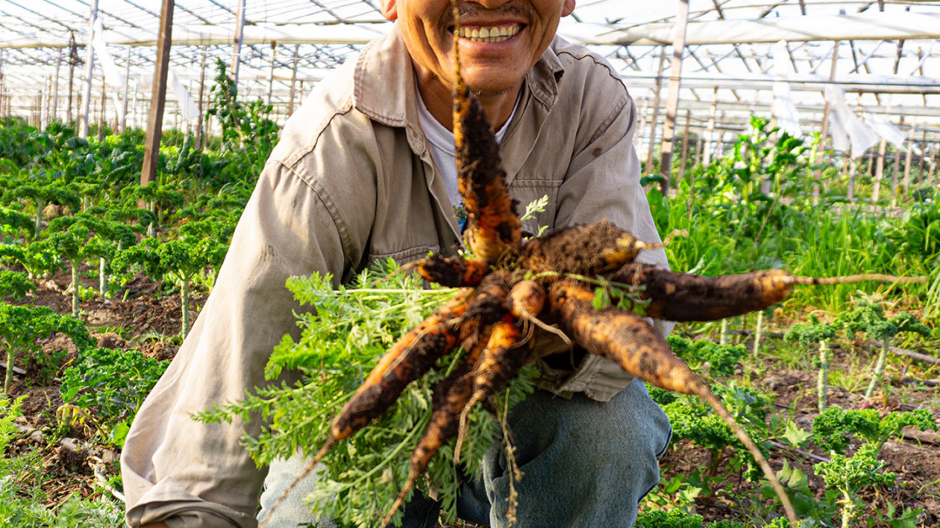 ¿Qué era el INAFCI y qué implica su cierre?