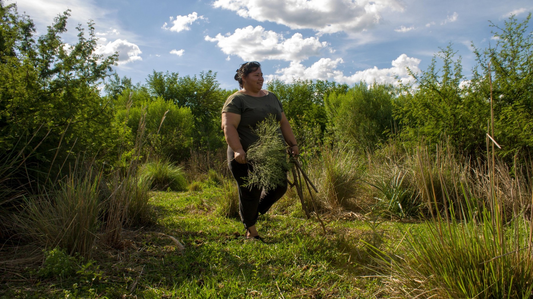 Caraguatá, tierra prometida