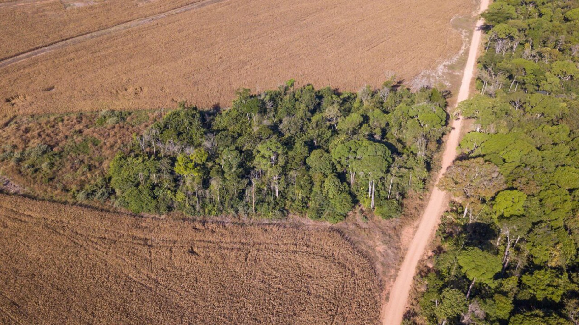 El acuerdo UE-Mercosur, en riesgo por nuevas exigencias ambientales
