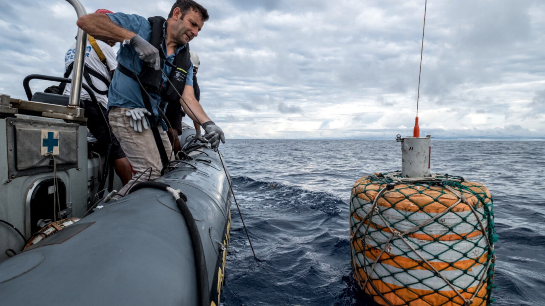 Cómo animales con GPS y otras tecnologías pueden proteger alta mar