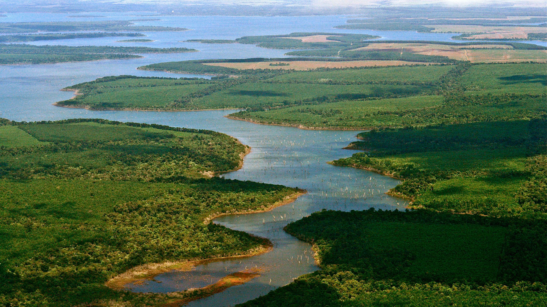 La problemática ecológica de Argentina, una vez más, estará ausente de las plataformas electorales