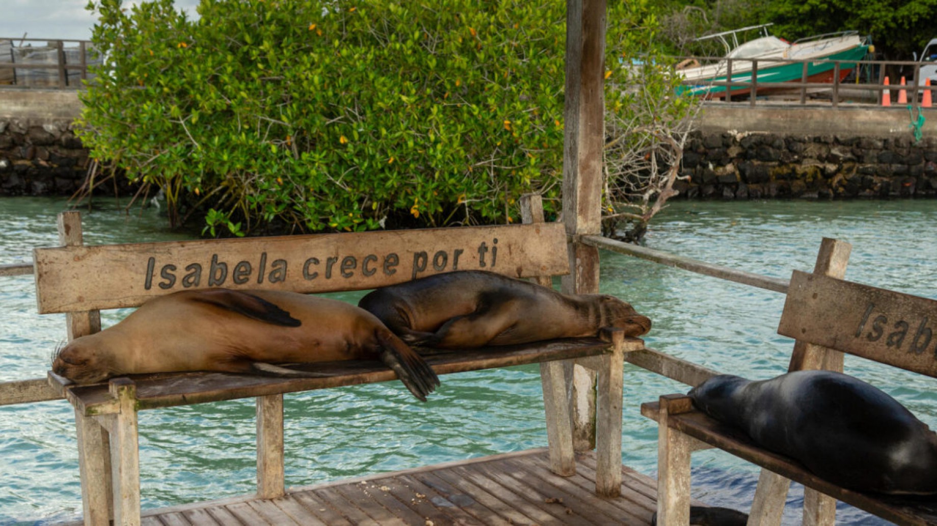 "Tenemos que romper con la separación entre clima y biodiversidad"