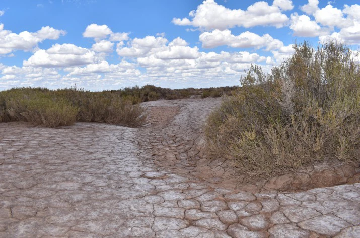 Paisaje desértico de la zona afectada de Mendoza por al sequia