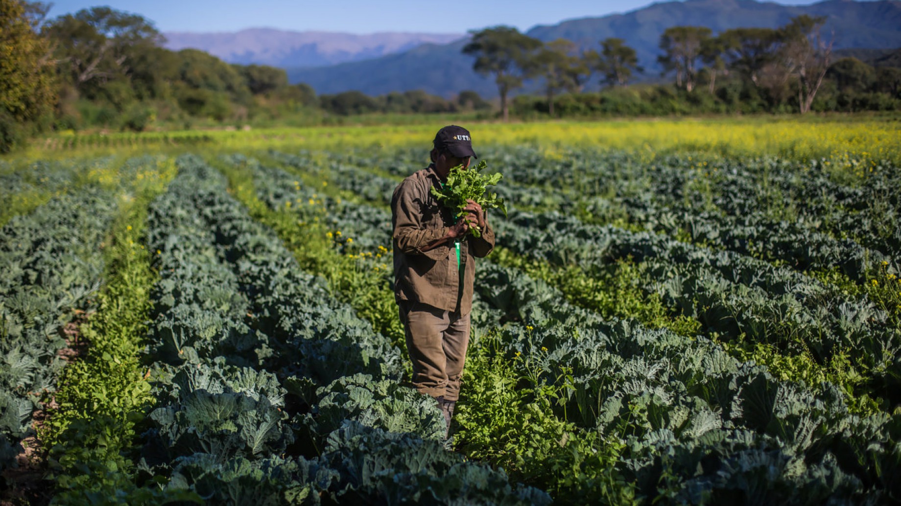 ¿Puede Sudamérica reducir el uso de agroquímicos en la agricultura?