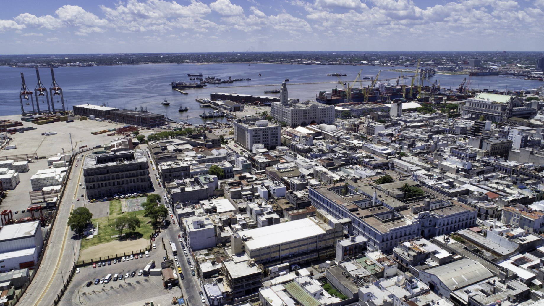 Denuncian complicidad del puerto de Montevideo con flotas de pesqueros extranjeros ilegales