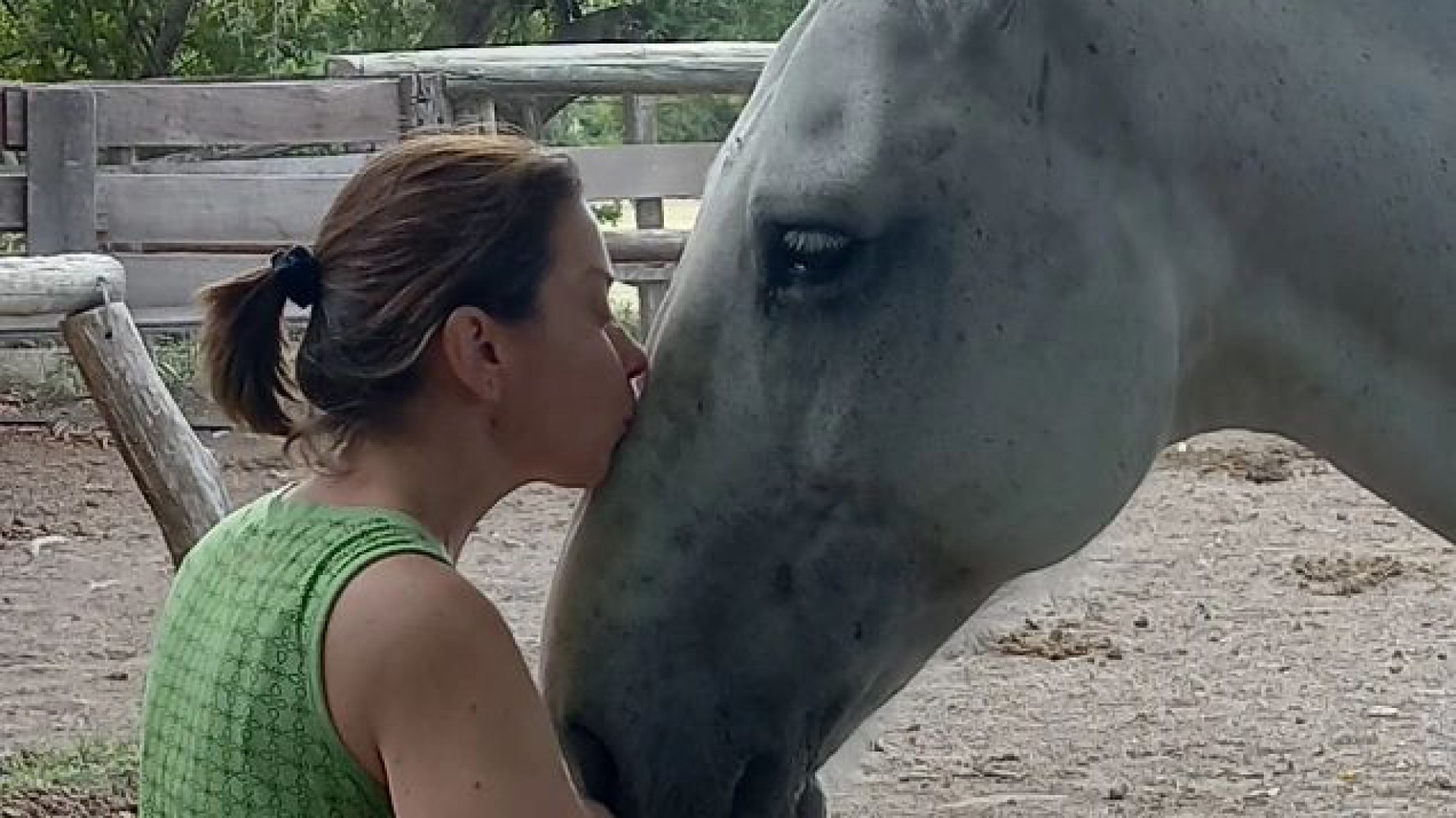 Musicoterapia, equinoterapia y "Perros que ayudan": la deuda argentina es con la salud