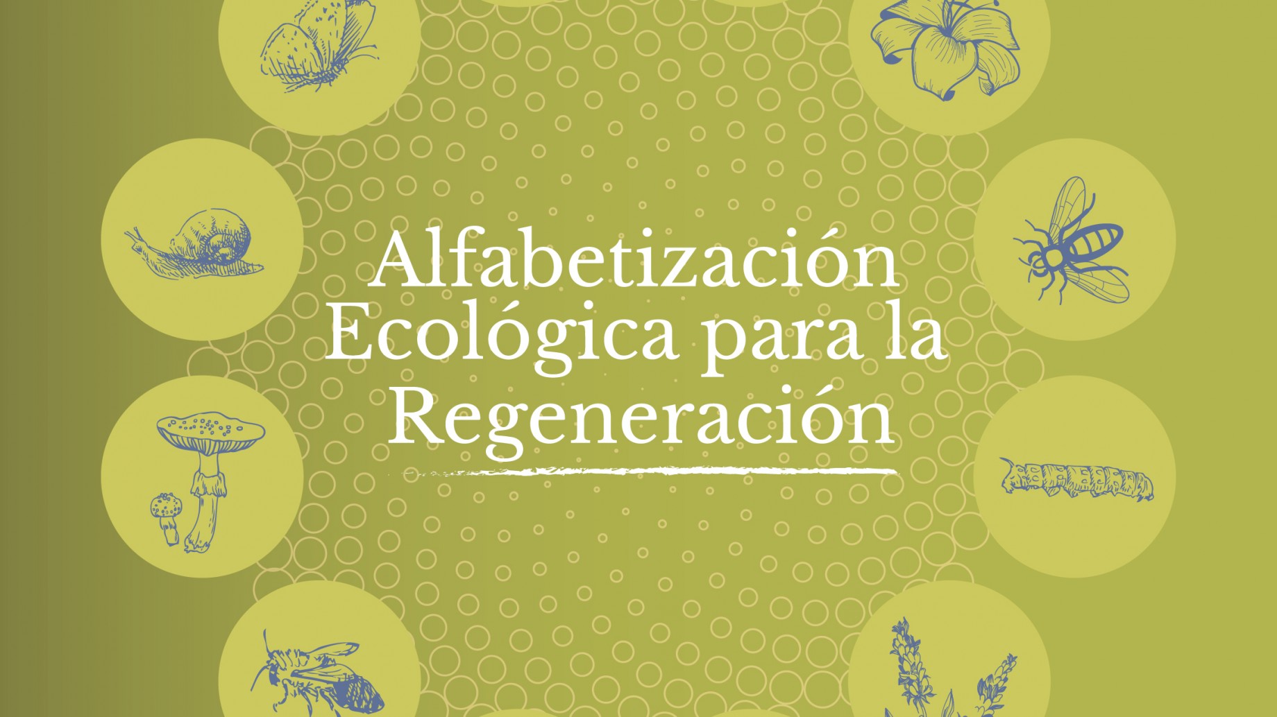 La era de la Alfabetización Ecológica