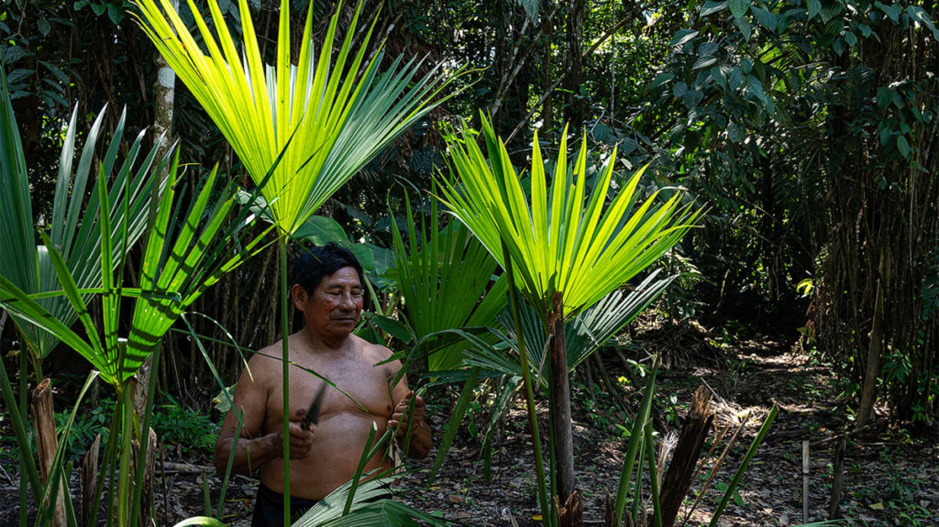 El referéndum sobre el Yasuní polariza a las comunidades de Ecuador