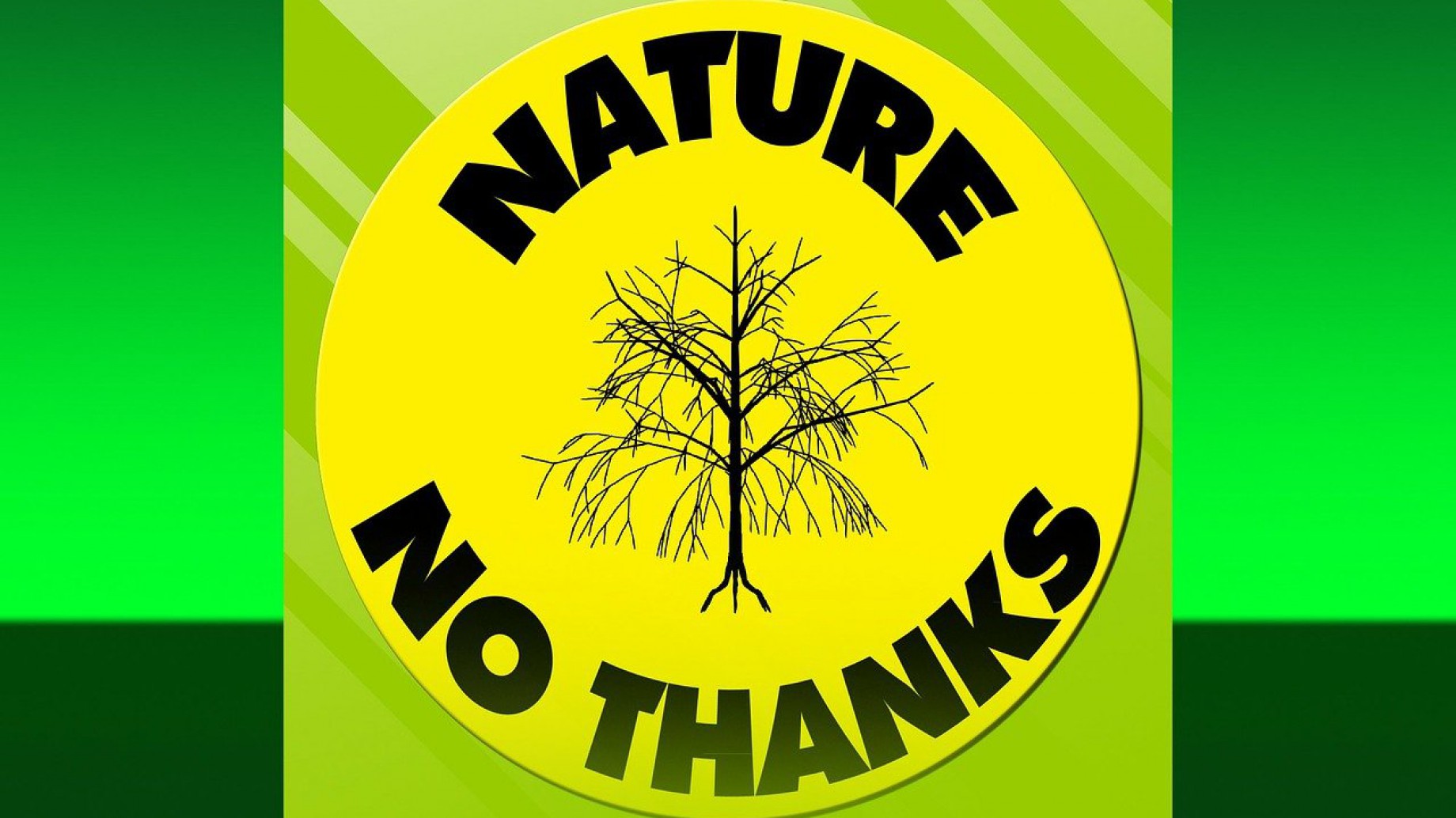 Negar lo innegable y gobernar: ejemplos de jefes de Estado que relativizan el cambio climático