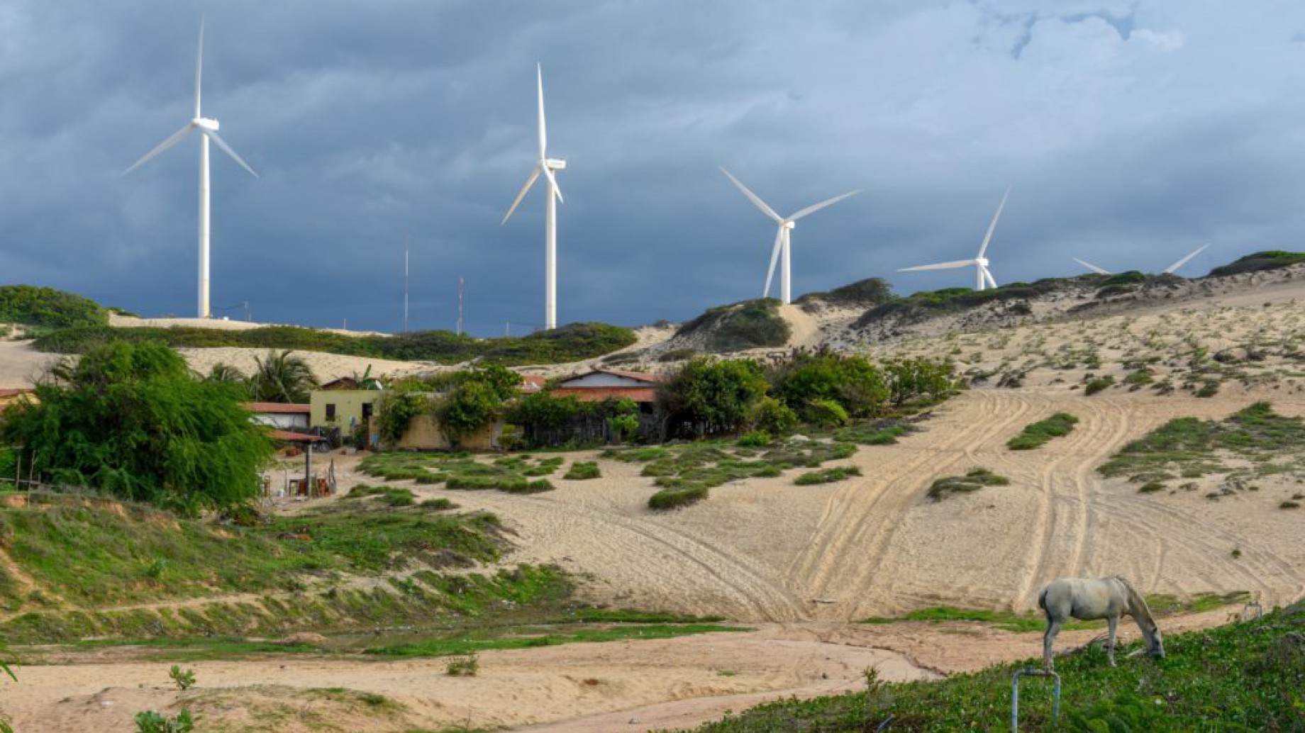 La UE estrecha lazos con América Latina en su transición energética
