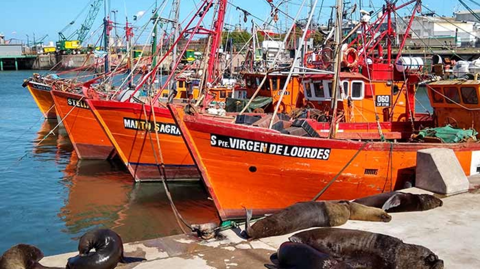 Denuncian en la justicia que el puerto de Mar del Plata es una cloaca y que funcionarios han falseado estudios ambientales