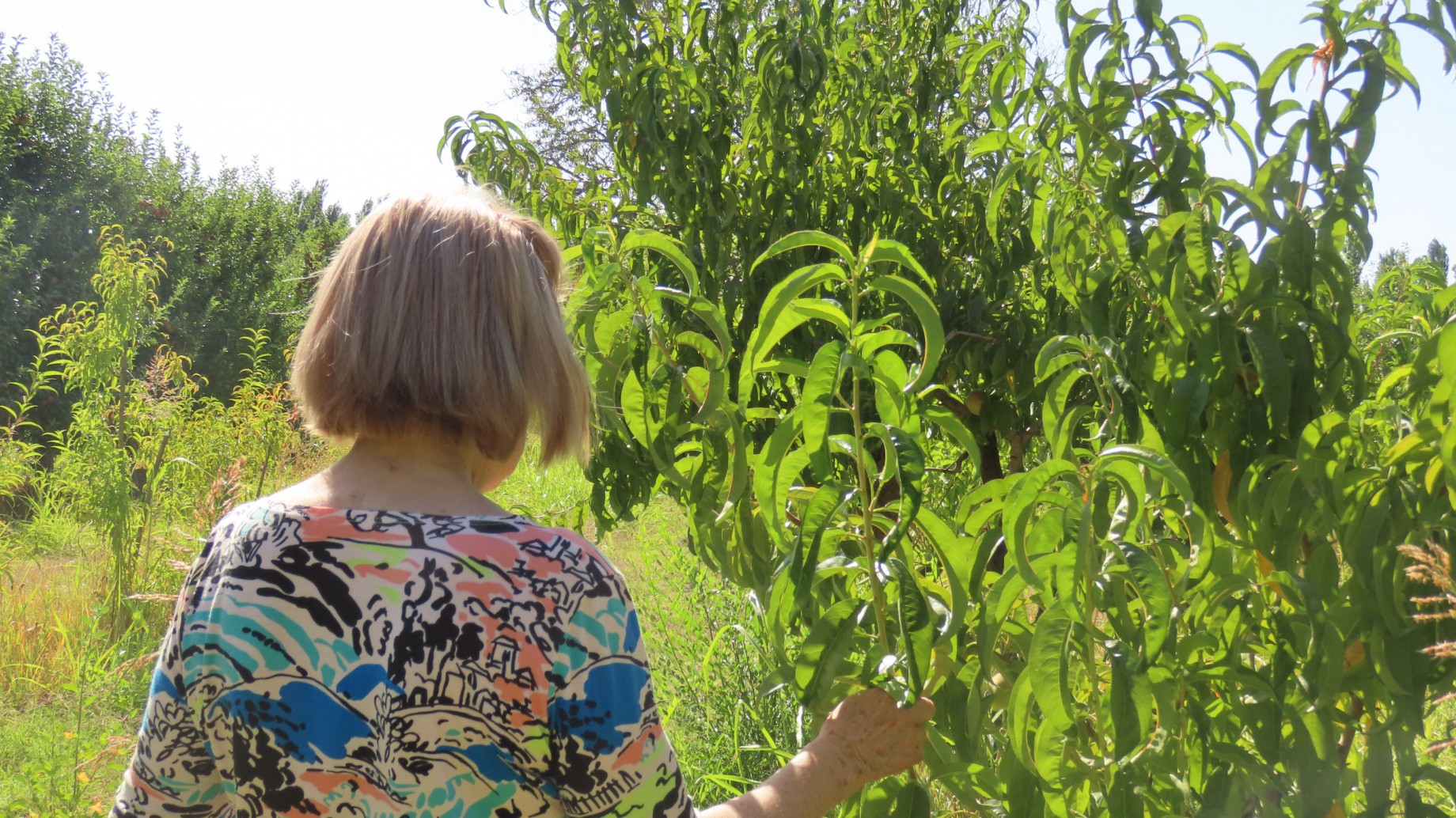 Más de una década de fracking en primera persona, ¿cómo producir alimentos junto a pozos petroleros?