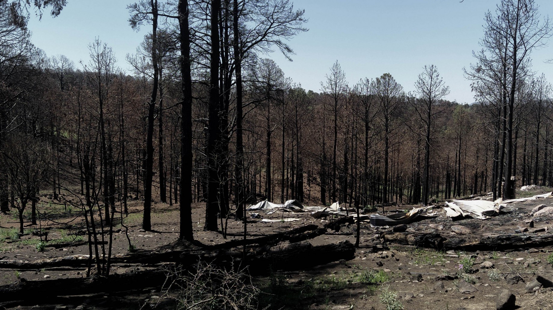 Contra el fuego, todes