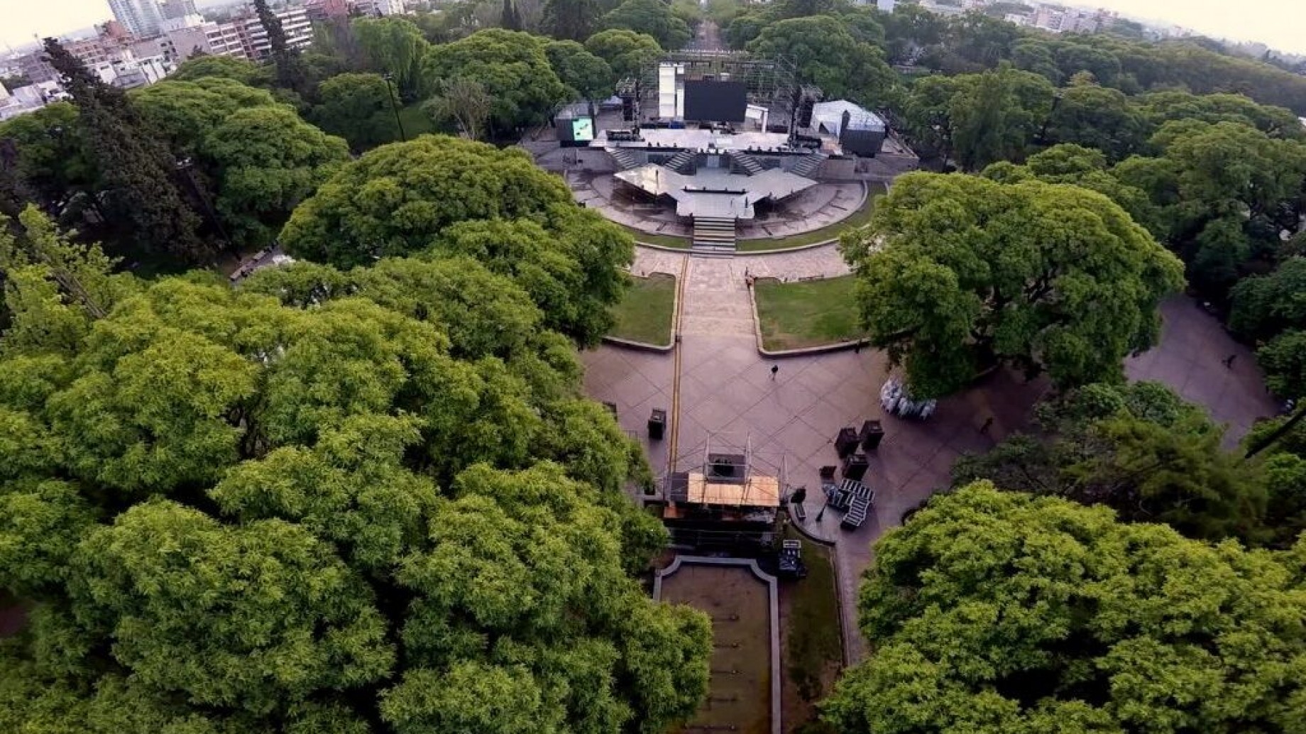 Los árboles, ecobenefactores urbanos