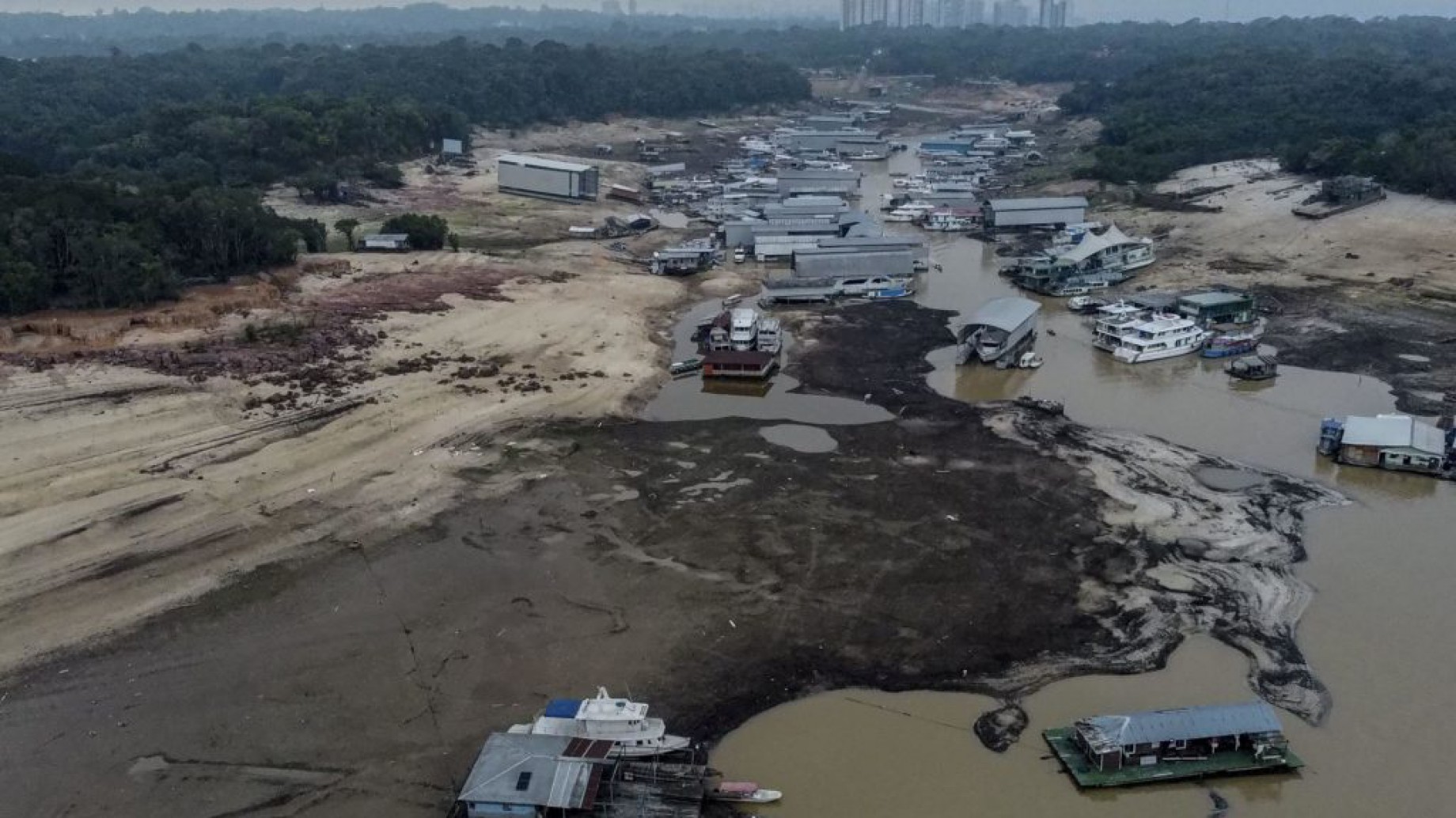 La sequía histórica en la Amazonía, explicada