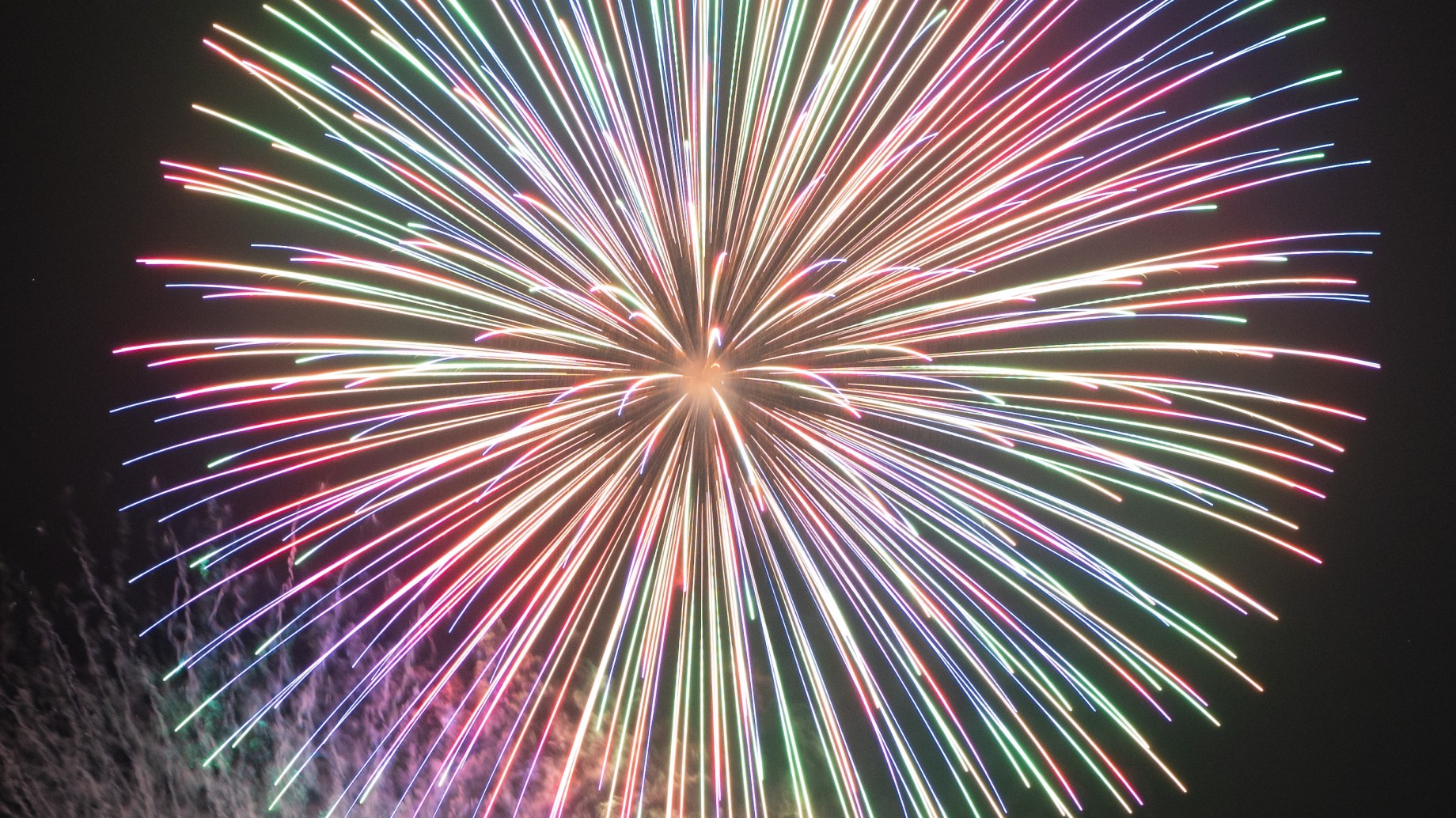 Fiestas de Navidad y Año Nuevo, su impacto ambiental. Segunda parte